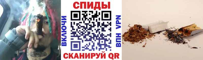 Бутират BDO  kraken ссылки  Шумиха 