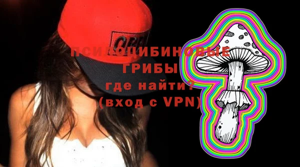 твердый Арсеньев