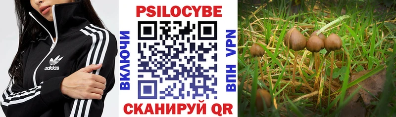 Галлюциногенные грибы Cubensis  Шумиха 