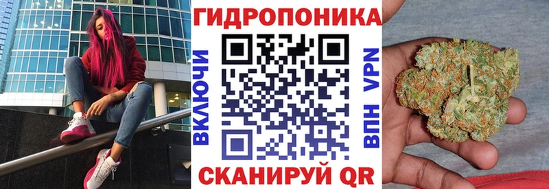 МАРИХУАНА конопля  Шумиха 
